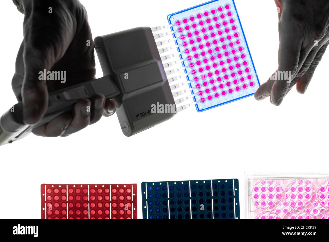 A microplate or microtiter plate or microwell plate, multiwell, is a