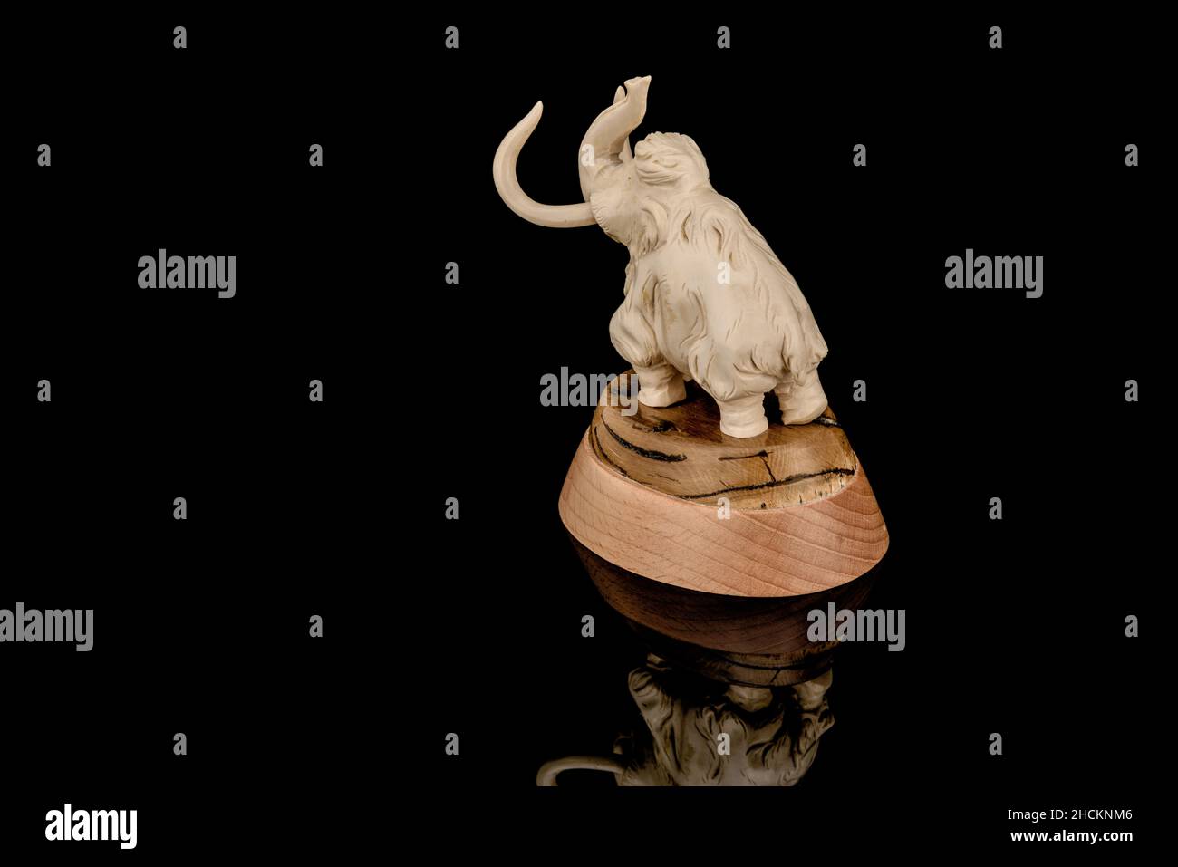 Ivory statuette of elephant mammoth on black background with reflection ...