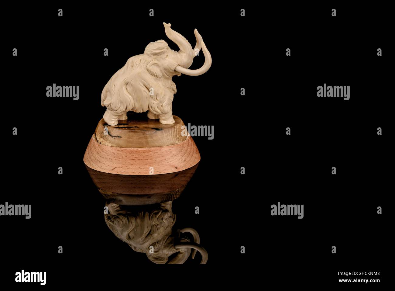 Ivory statuette of elephant mammoth on black background with reflection ...