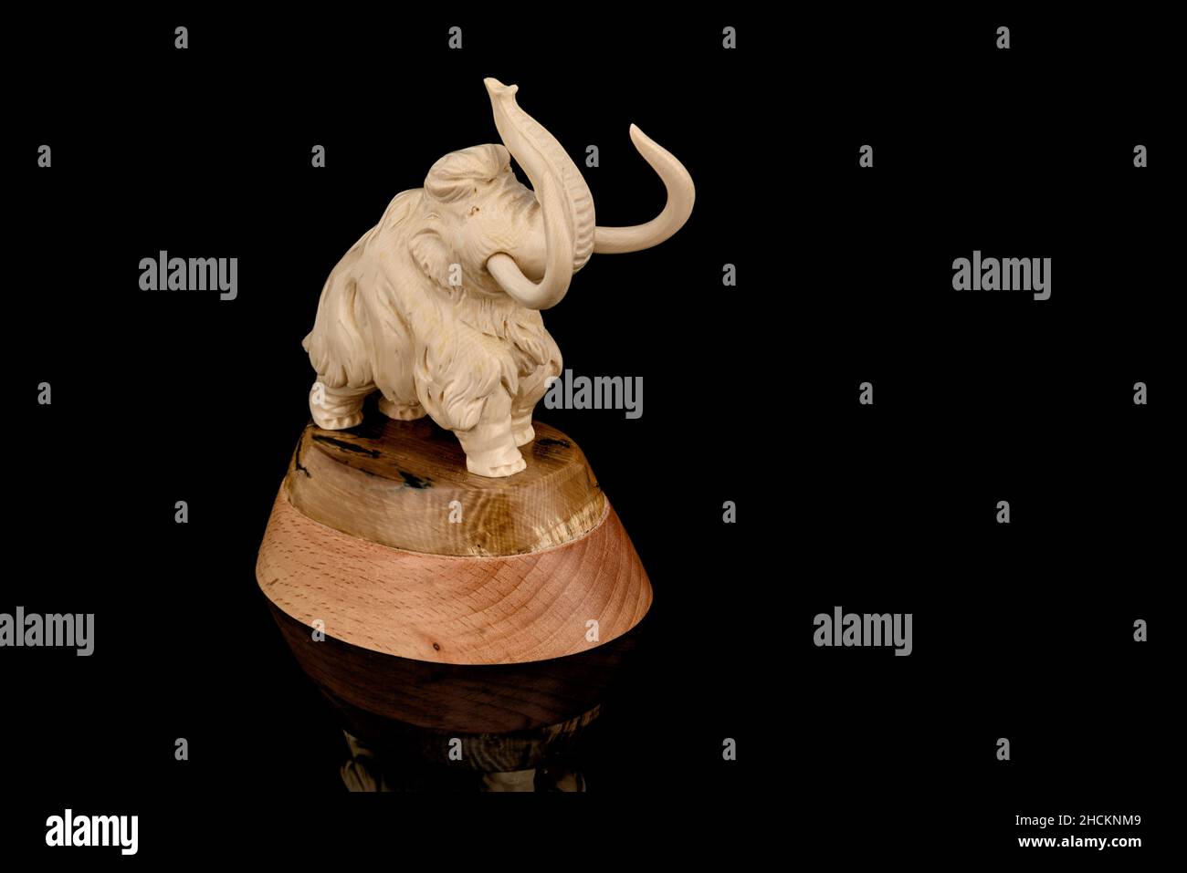 Ivory statuette of elephant mammoth on black background with reflection ...
