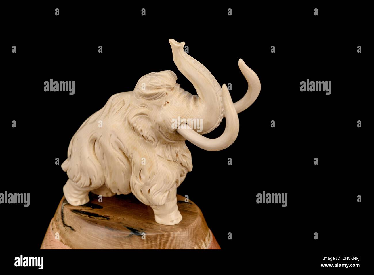 Ivory statuette of elephant mammoth on black background with reflection ...