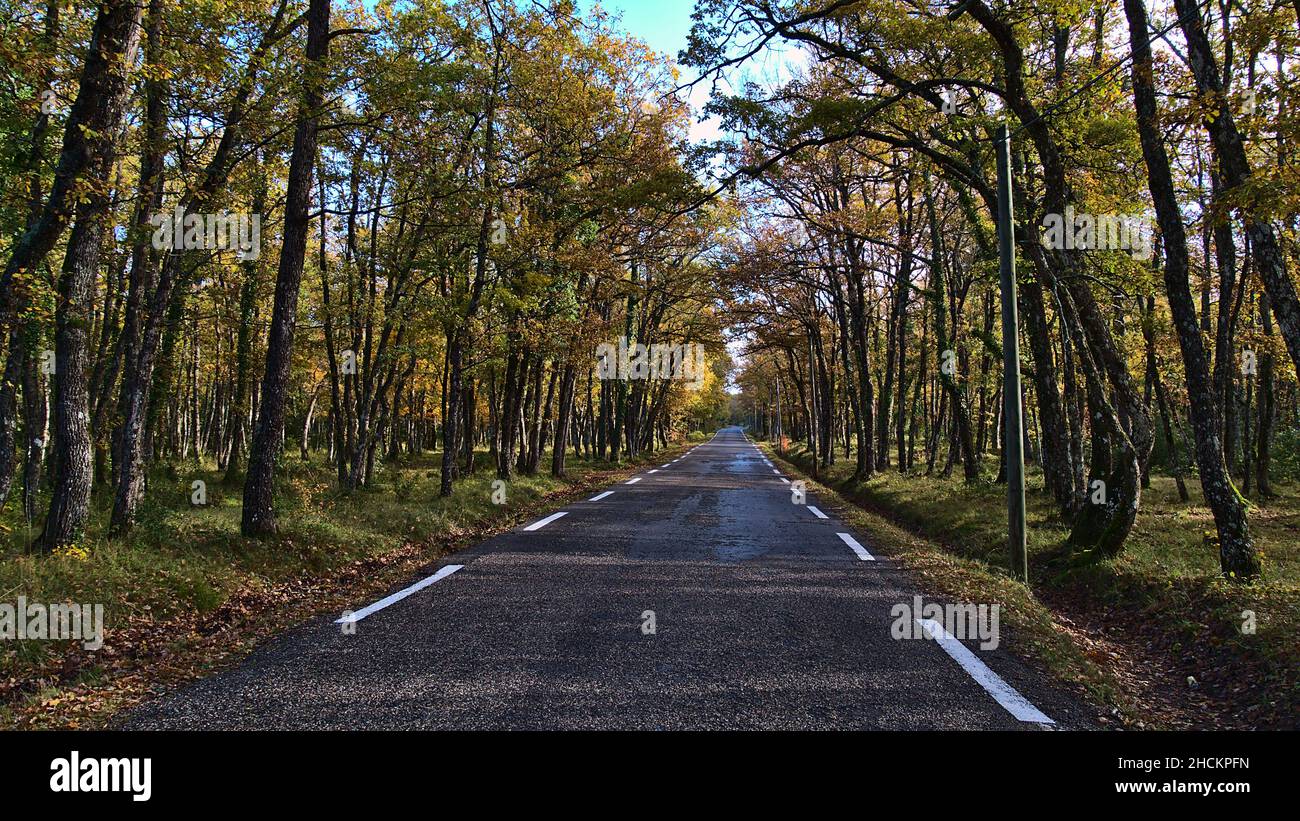 View of country road D95 surrounded by colorful oak trees in nature conservation area Parc Naturel Regional de la Sainte-Baume in Provence, France. Stock Photo