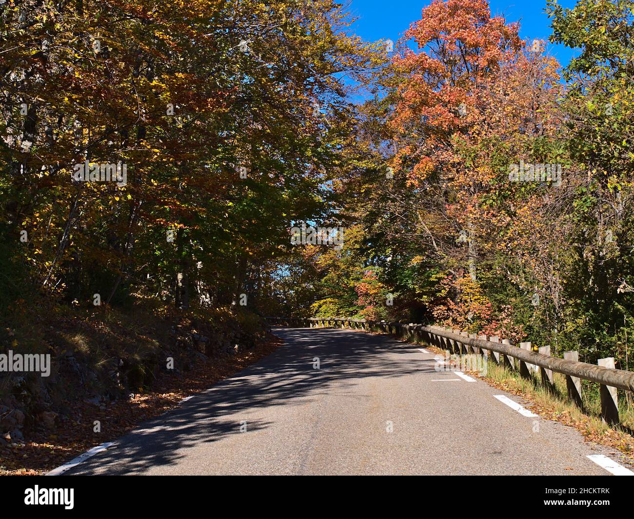 Beautiful view of country road D71 at the edge of famous Verdon Gorge in Provence region in the south of France in autumn season with colorful trees. Stock Photo