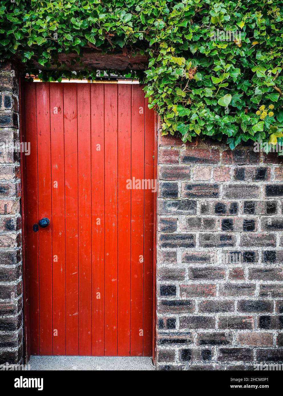 Vertical shot of a red door on a brick wall with leaves Stock Photo