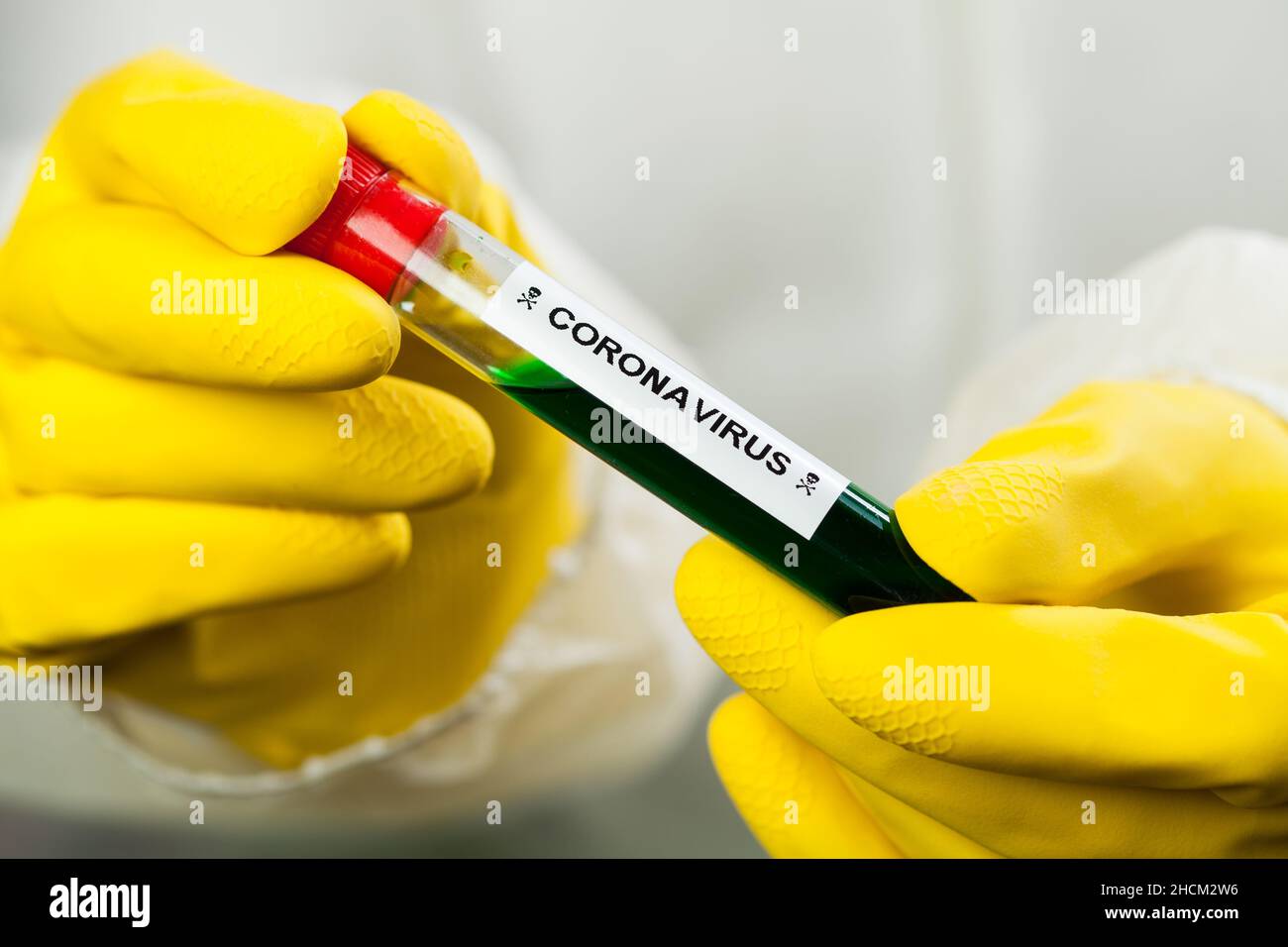 Closeup of hands in protective yellow nitrile gloves holding lab test tube with green toxic