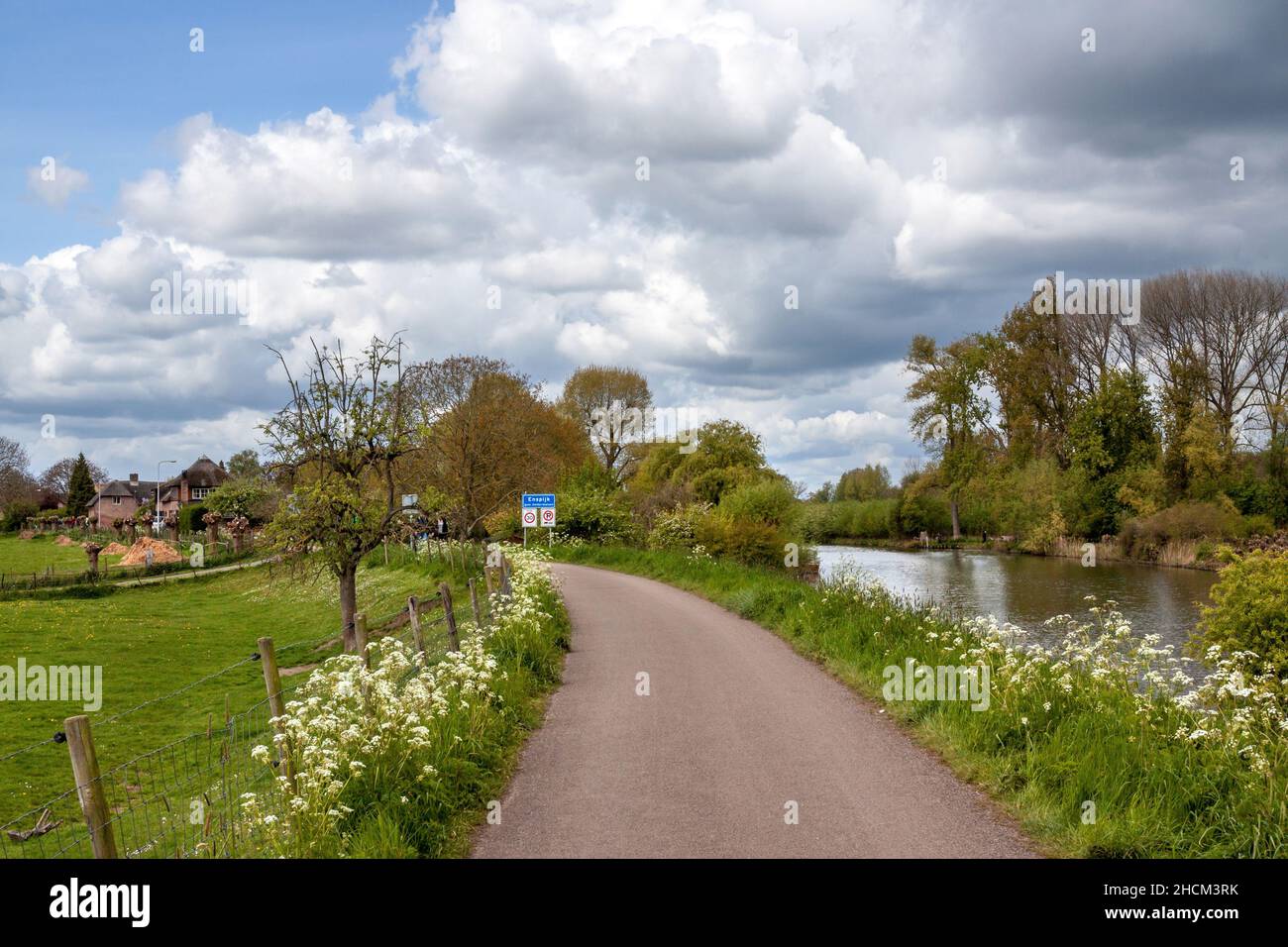 Road on river dike in a typical Dutch landscape Stock Photo Alamy