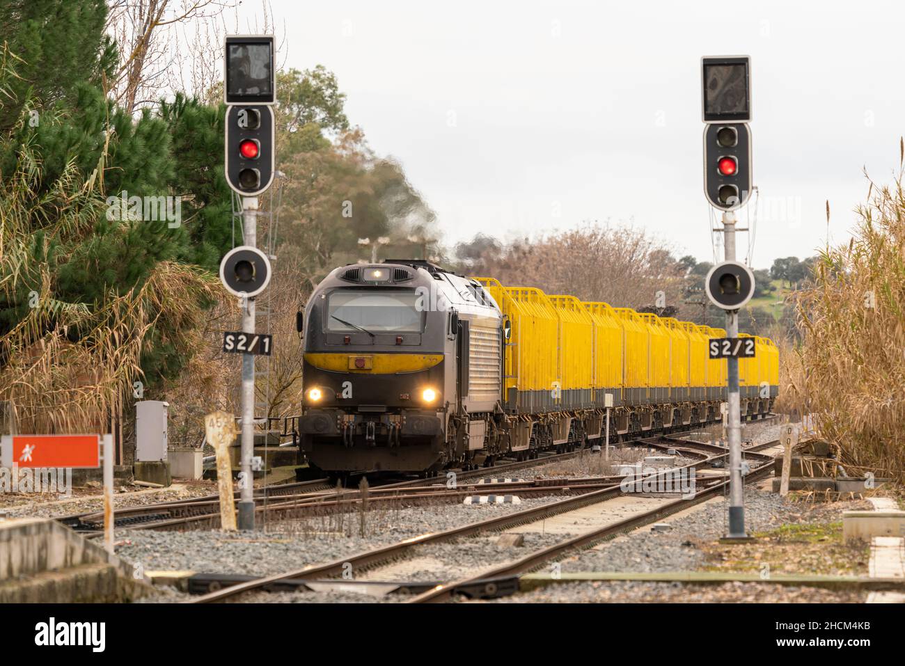 Modern freight train to transport wood from the Spanish railway Stock