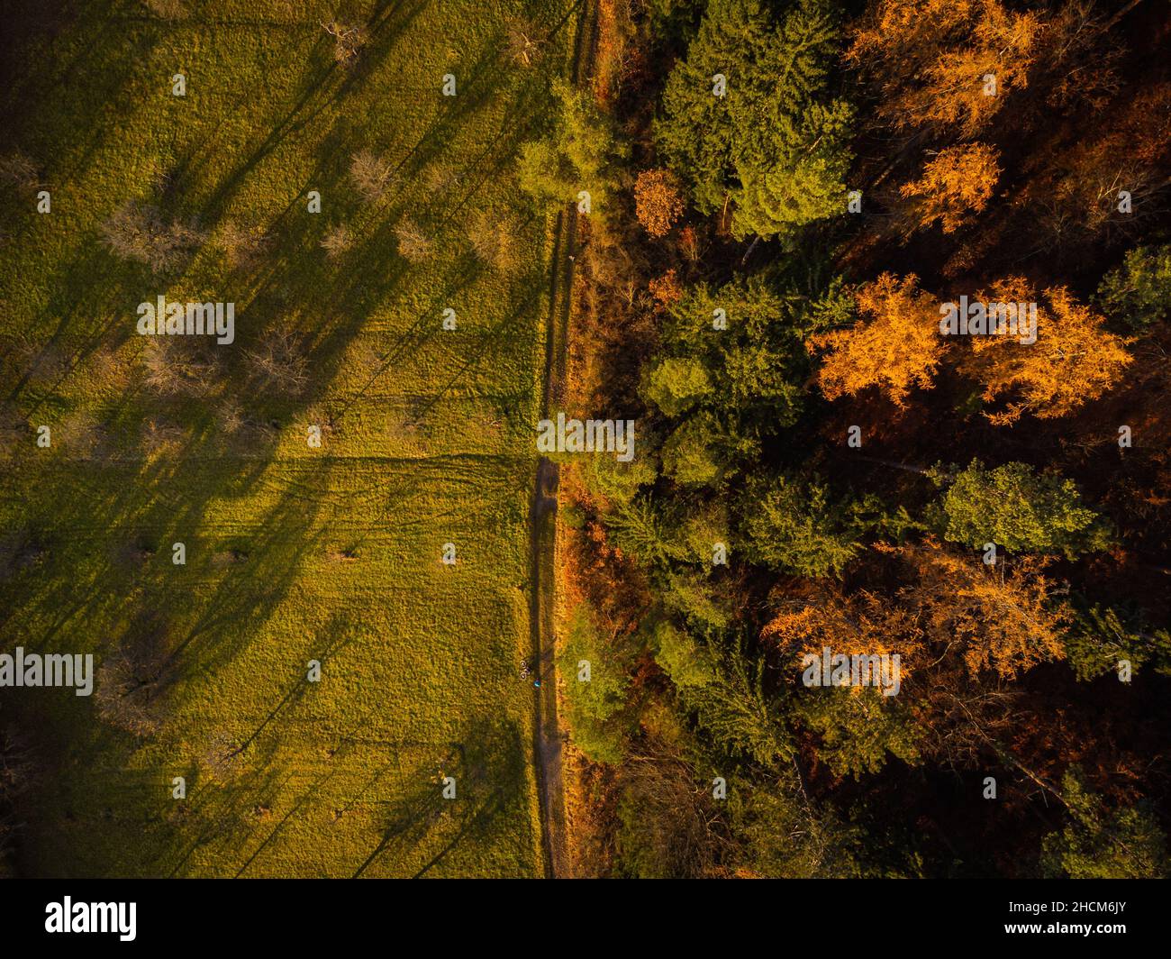 Aerial top view of green field and colorful autumn trees Stock Photo