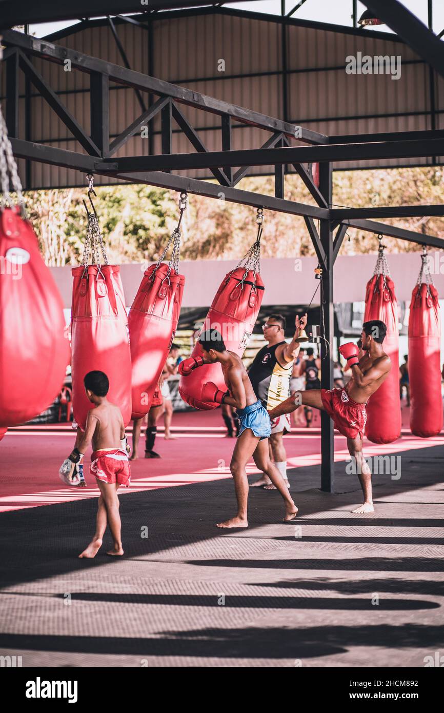 Training Muay Thai in Phuket Thailand Stock Photo Alamy