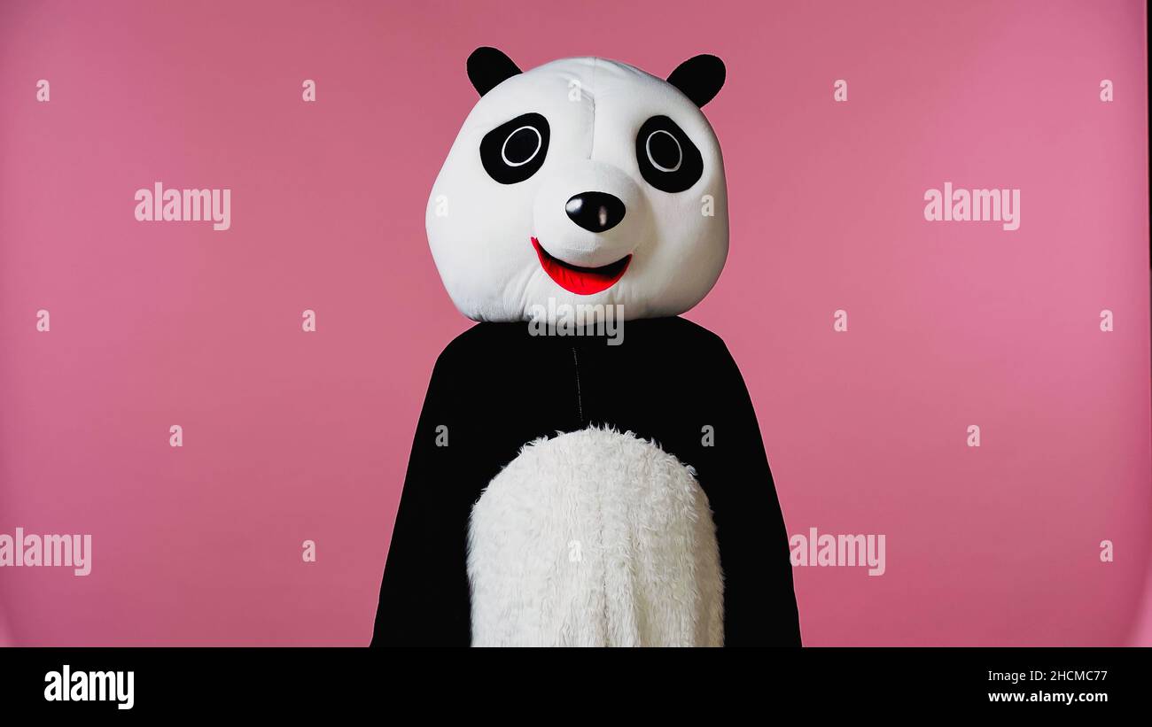 person in black and white panda bear costume isolated on pink Stock ...