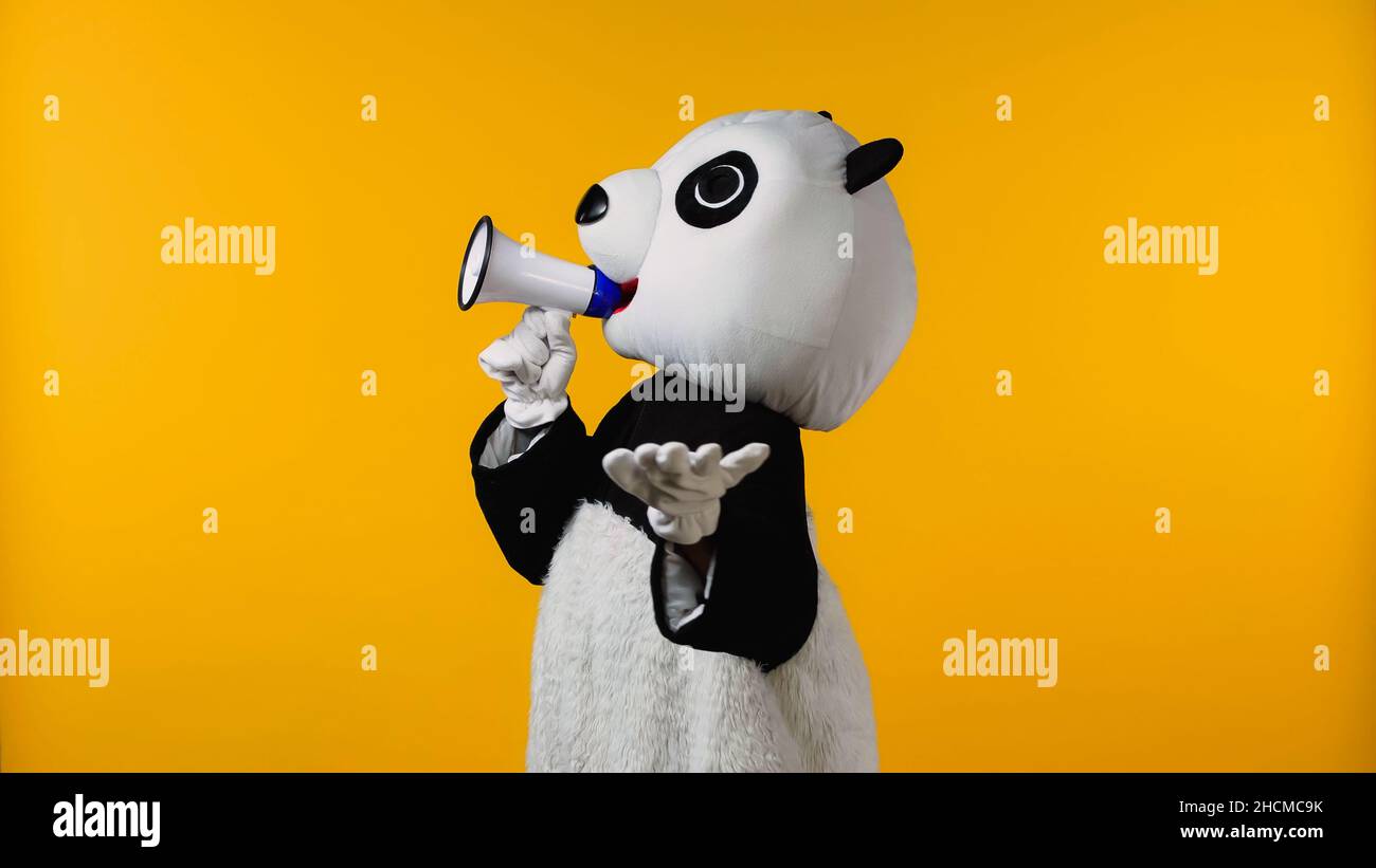 Person In Panda Bear Costume Talking In Megaphone Isolated On Yellow 