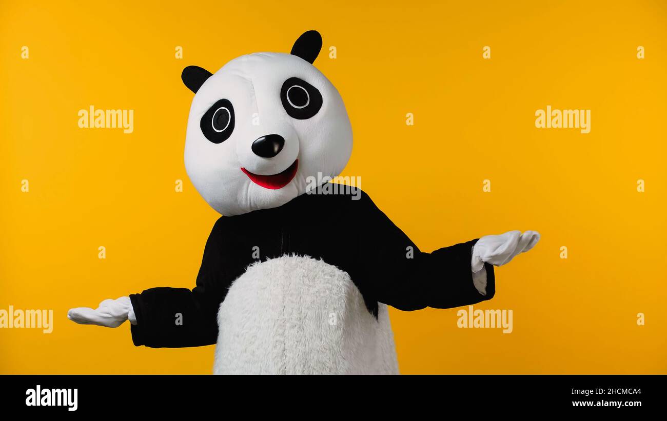 confused person in panda bear costume showing shrug gesture isolated on yellow Stock Photo