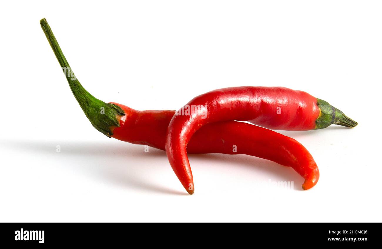 Two red chili peppers isolated on white background. Dried peppers for