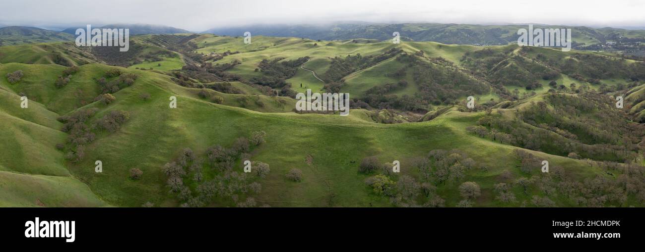 New green grass covers the scenic, rolling hills and valleys of the tri-valley area of Northern California, just east of San Francisco Bay. Stock Photo