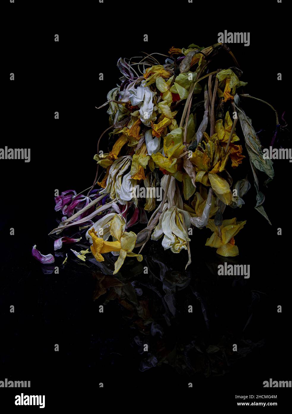 Dying Spring Flowers in Vase Stock Photo Alamy