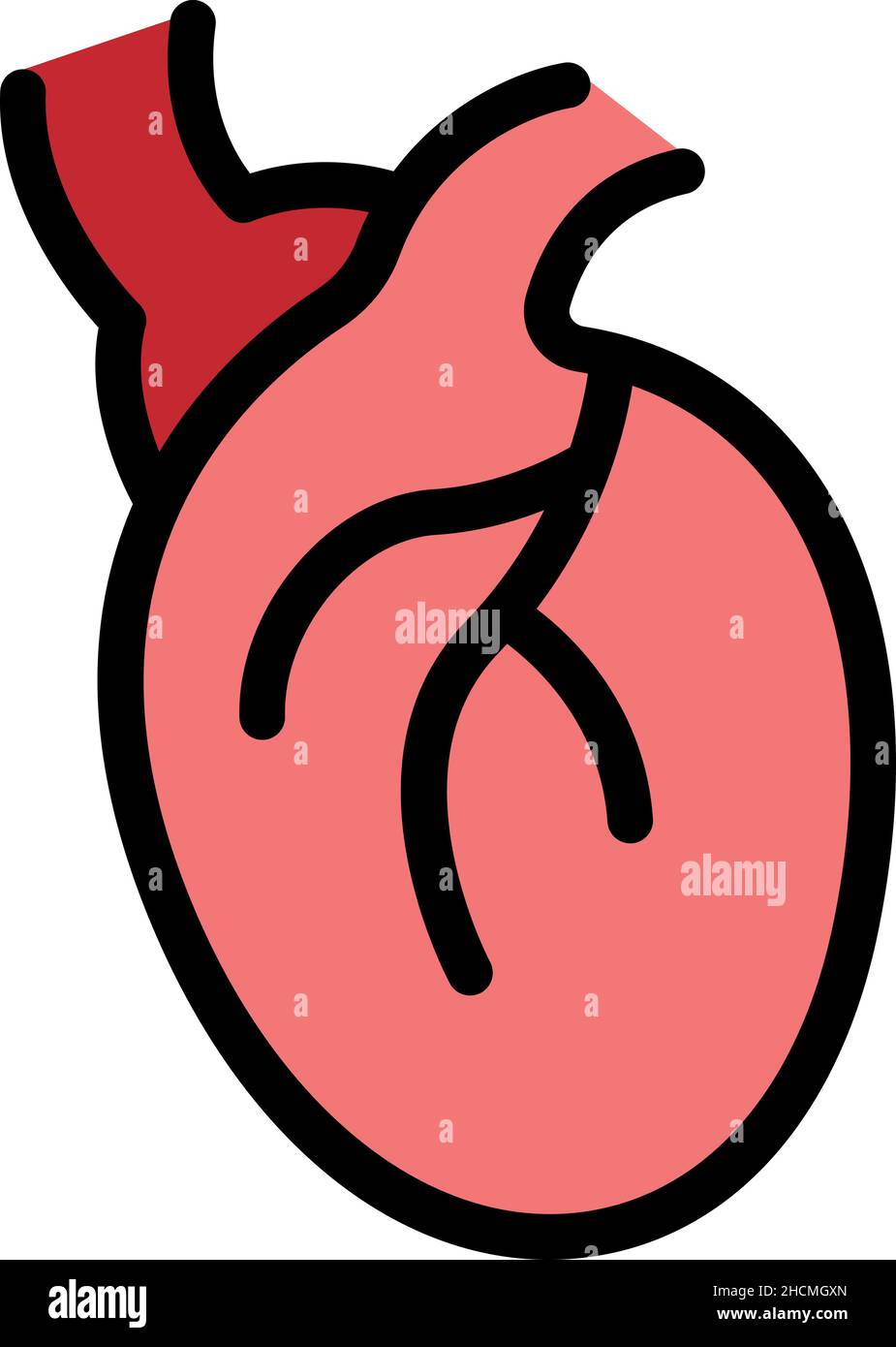 Human heart icon. Outline human heart vector icon color flat isolated ...
