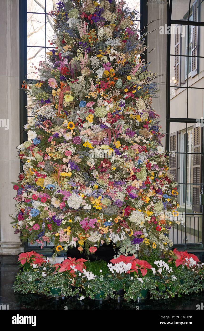 Christmas tree, large, covered in dried flowers, unique decorations, potted  plants, festive, holiday, Winterthur Museum, Delaware, Winterthur, DE Stock  Photo - Alamy