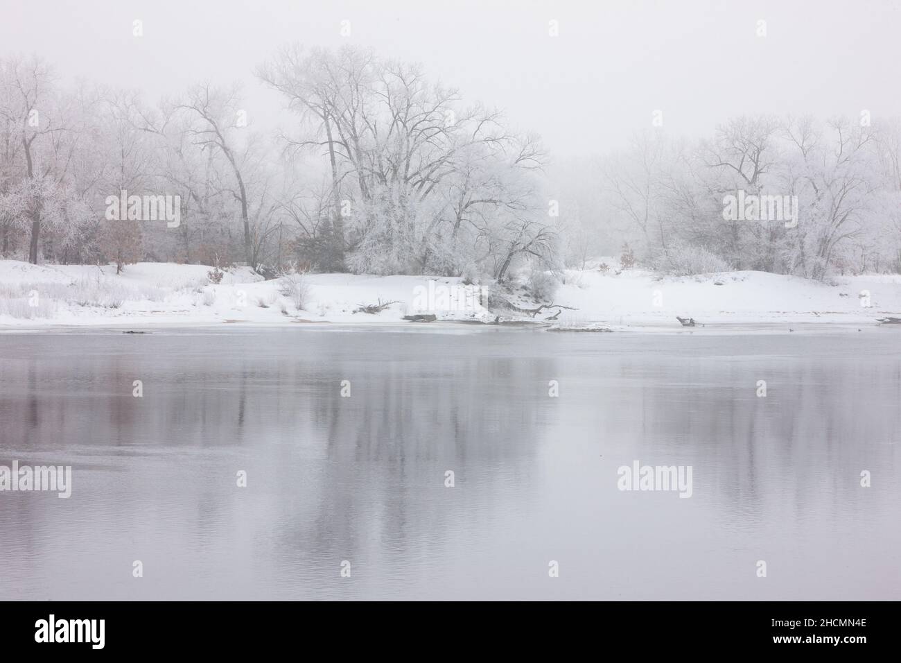 Trees frosted in the cold January winter morning on the shoreline of
