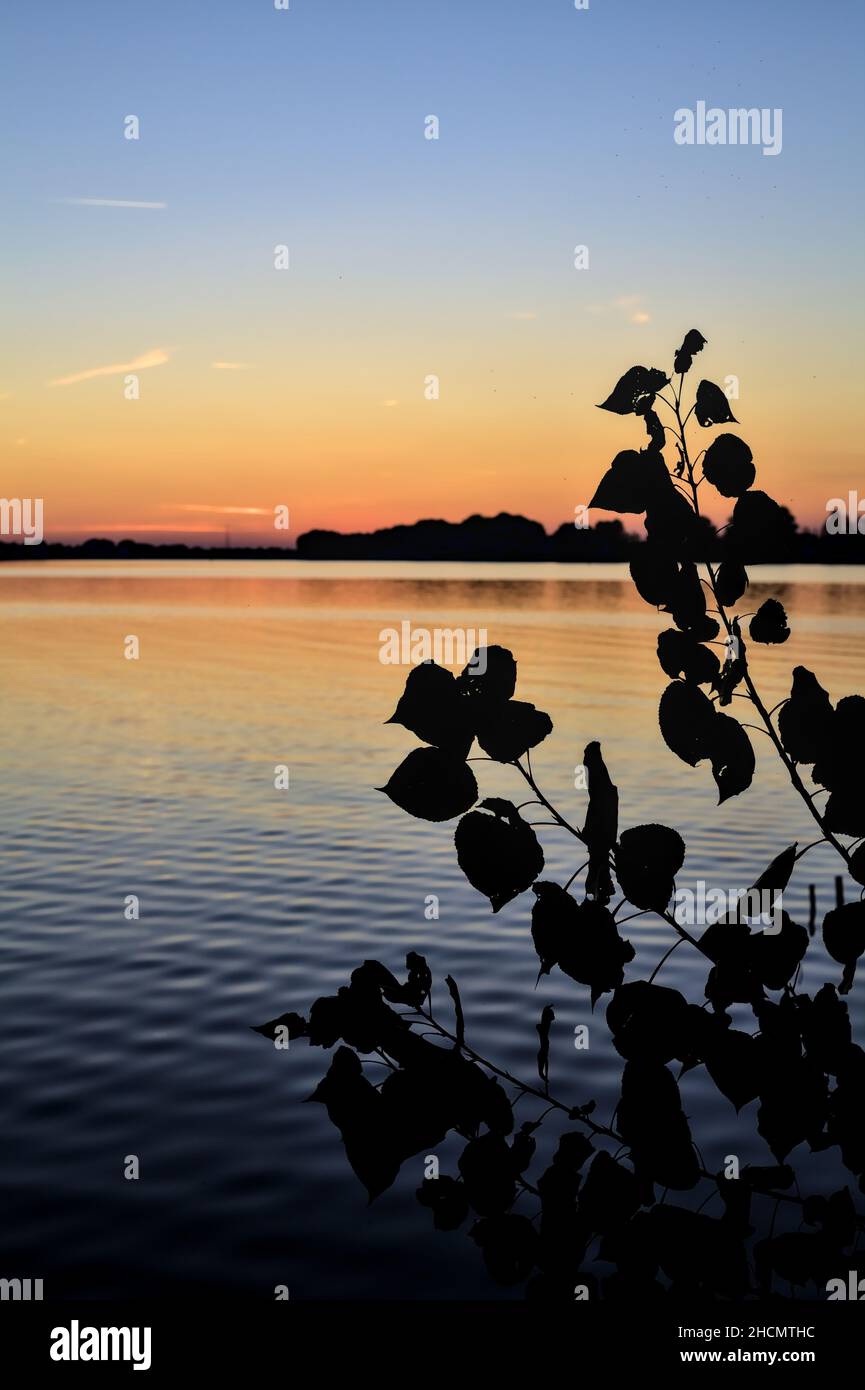 Lake at sunset framed by trees Stock Photo - Alamy