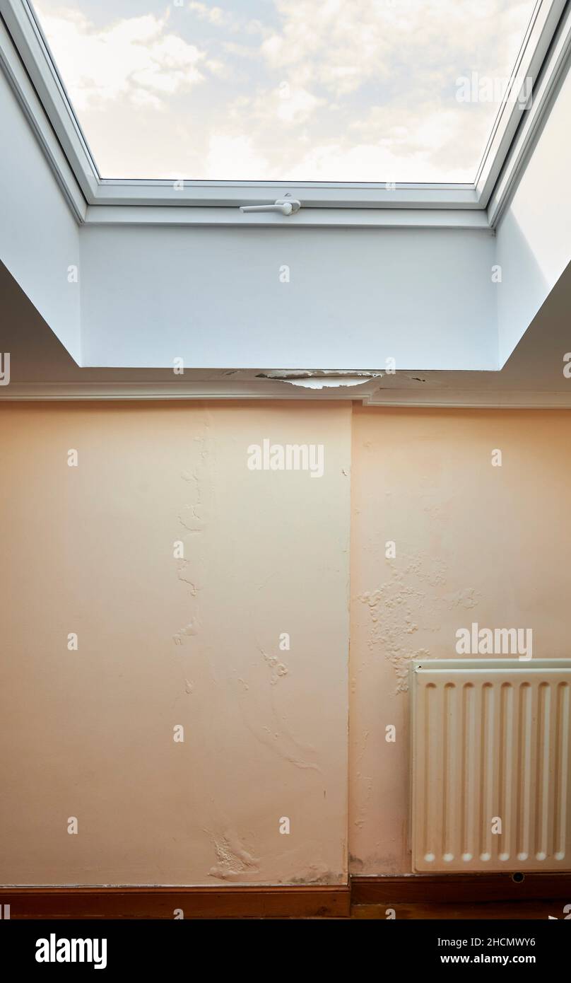 Excessive moisture causes mold and peeling paint walls, such as