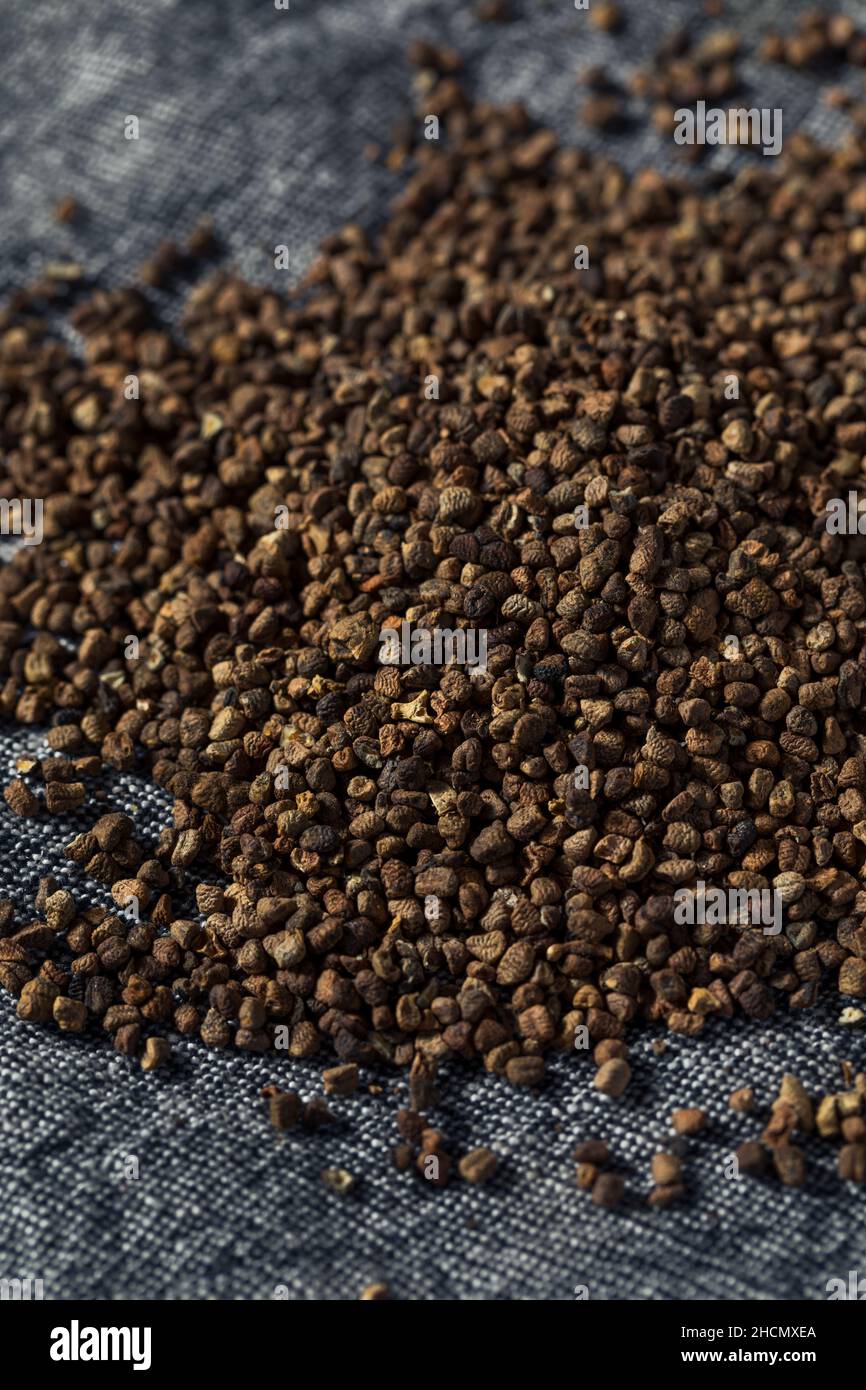 550 Graines Black Pepper "Piper Nigrum" Tropical seeds 