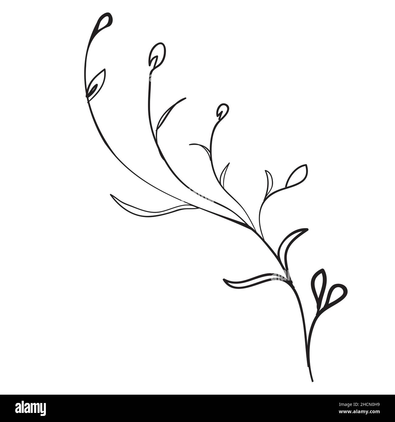 Sketch branch of leaves by hand on an isolated background. Vector ...