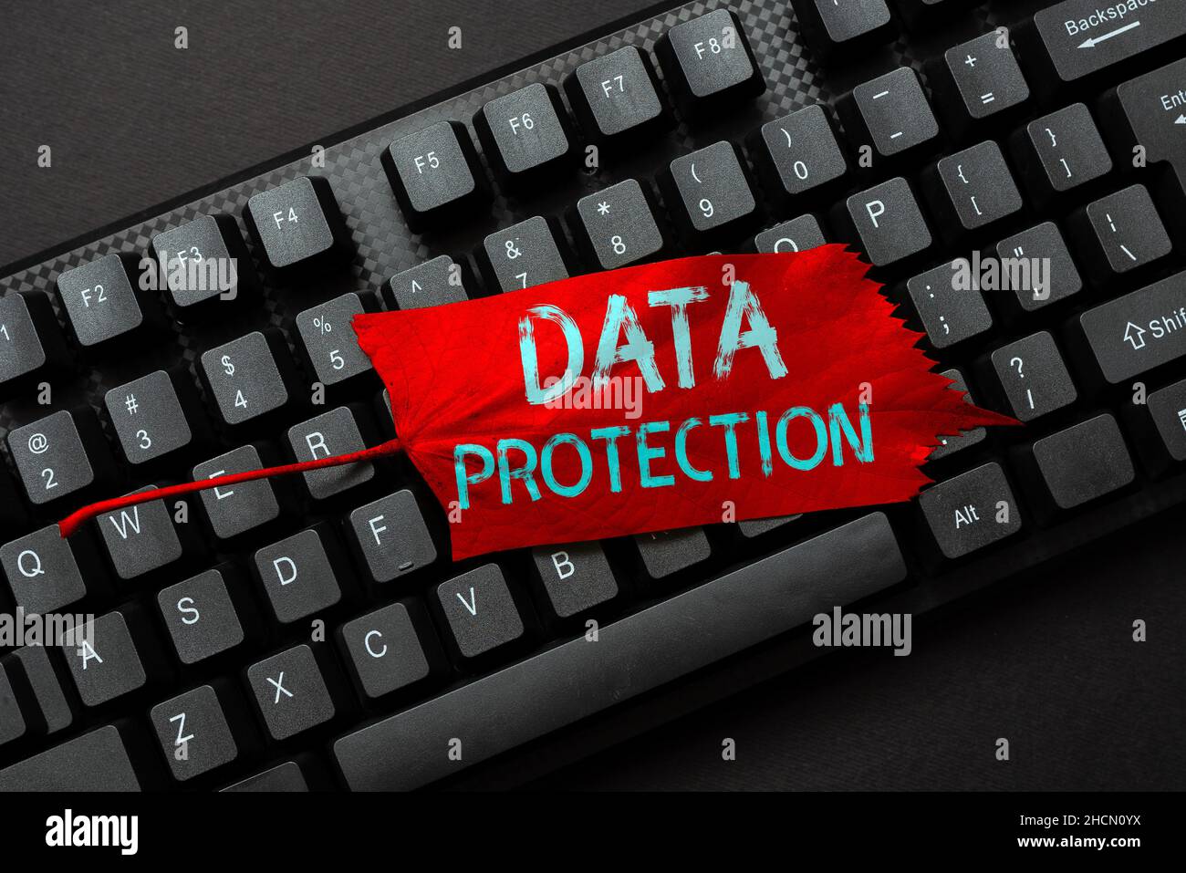 Data Protection Text Handwriting text Data Protection. Internet Concept Protect IP addresses ...