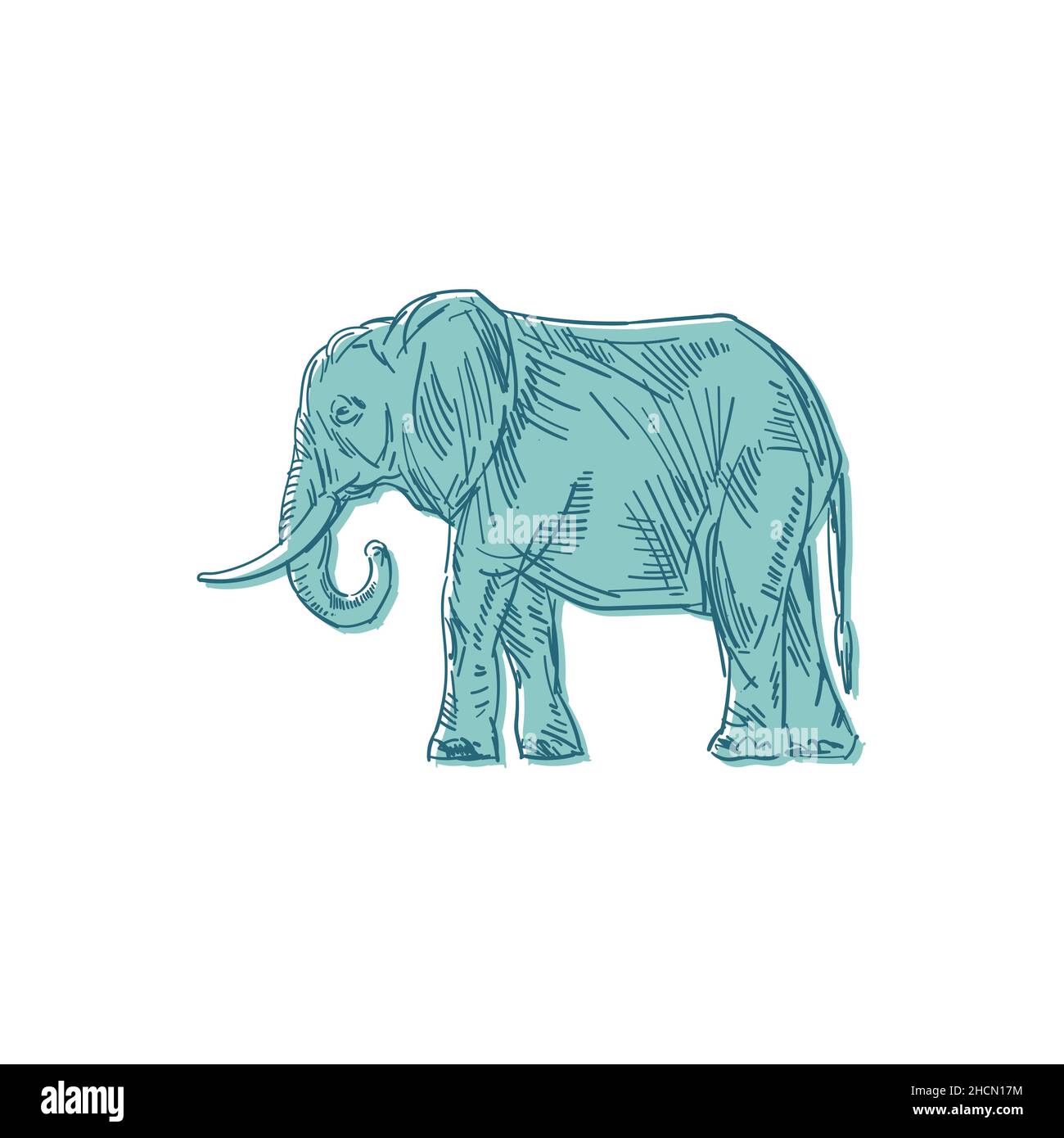 Elephant hand drawing isolated. Animal vector illustration Stock Vector ...