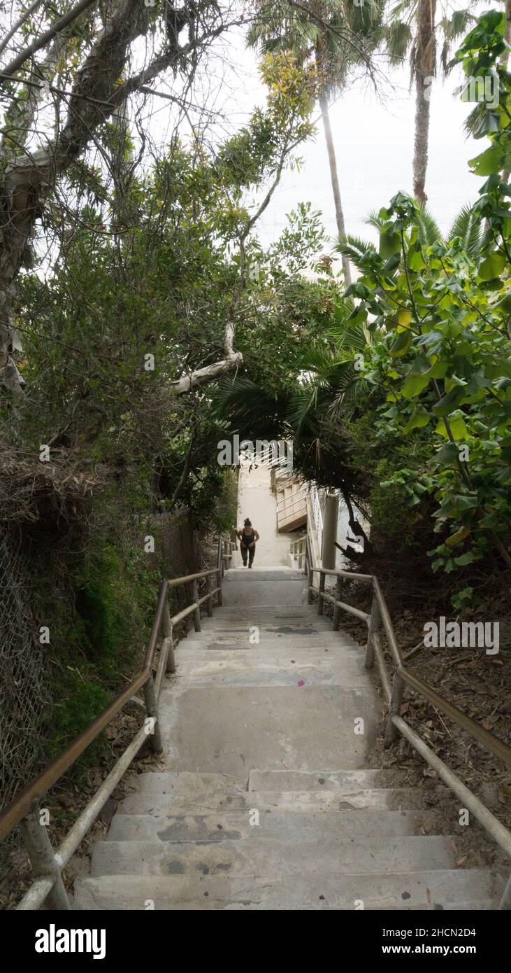 1000 Steps Beach Laguna in California Stock Photo Alamy