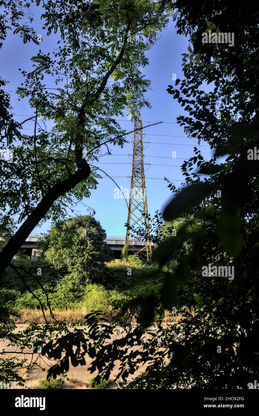 Electricity pylon framed by trees of a park at sunset Stock Photo Alamy
