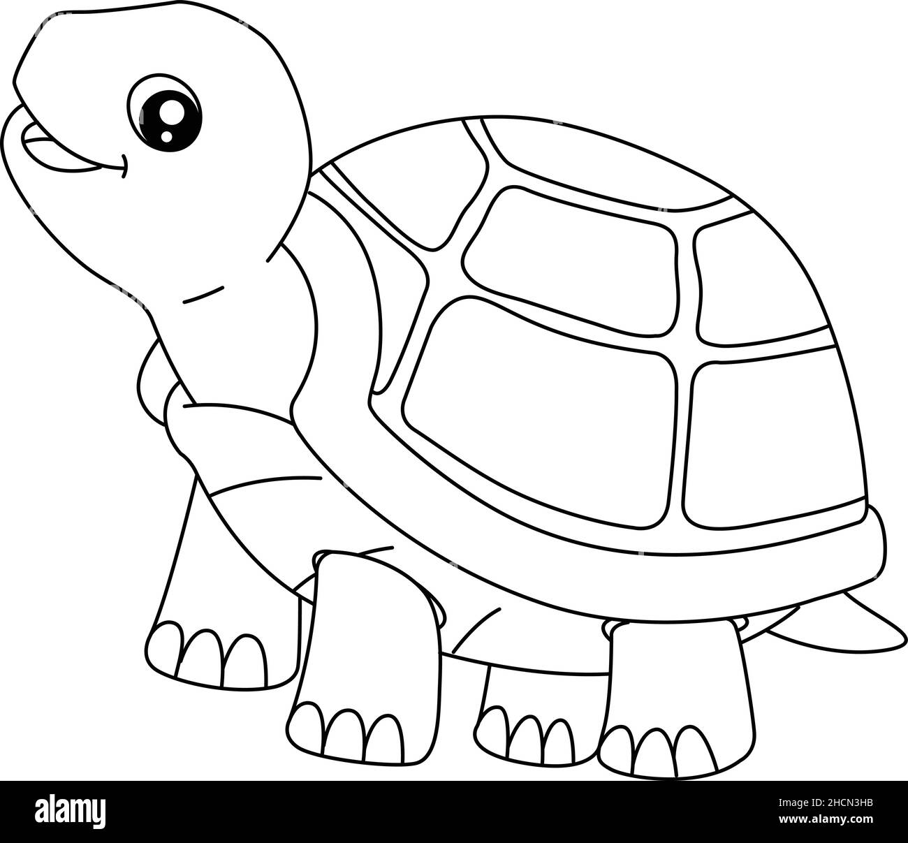 Turtle Coloring Page for Isolated Kids Stock Vector