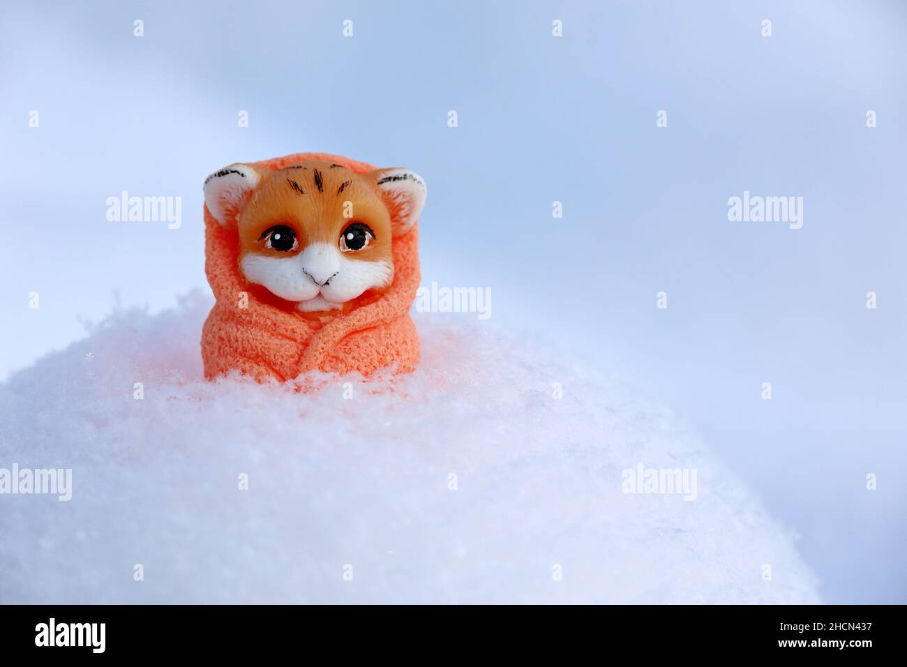 Toy tiger in snow outdoor. Background for greeting card of New Year celebration, chinese 2022 year of the Tiger Stock Photo
