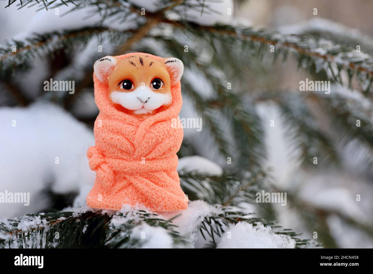 Toy tiger in snow on fir branches. Background for greeting card of New Year celebration, chinese 2022 year of the Tiger Stock Photo