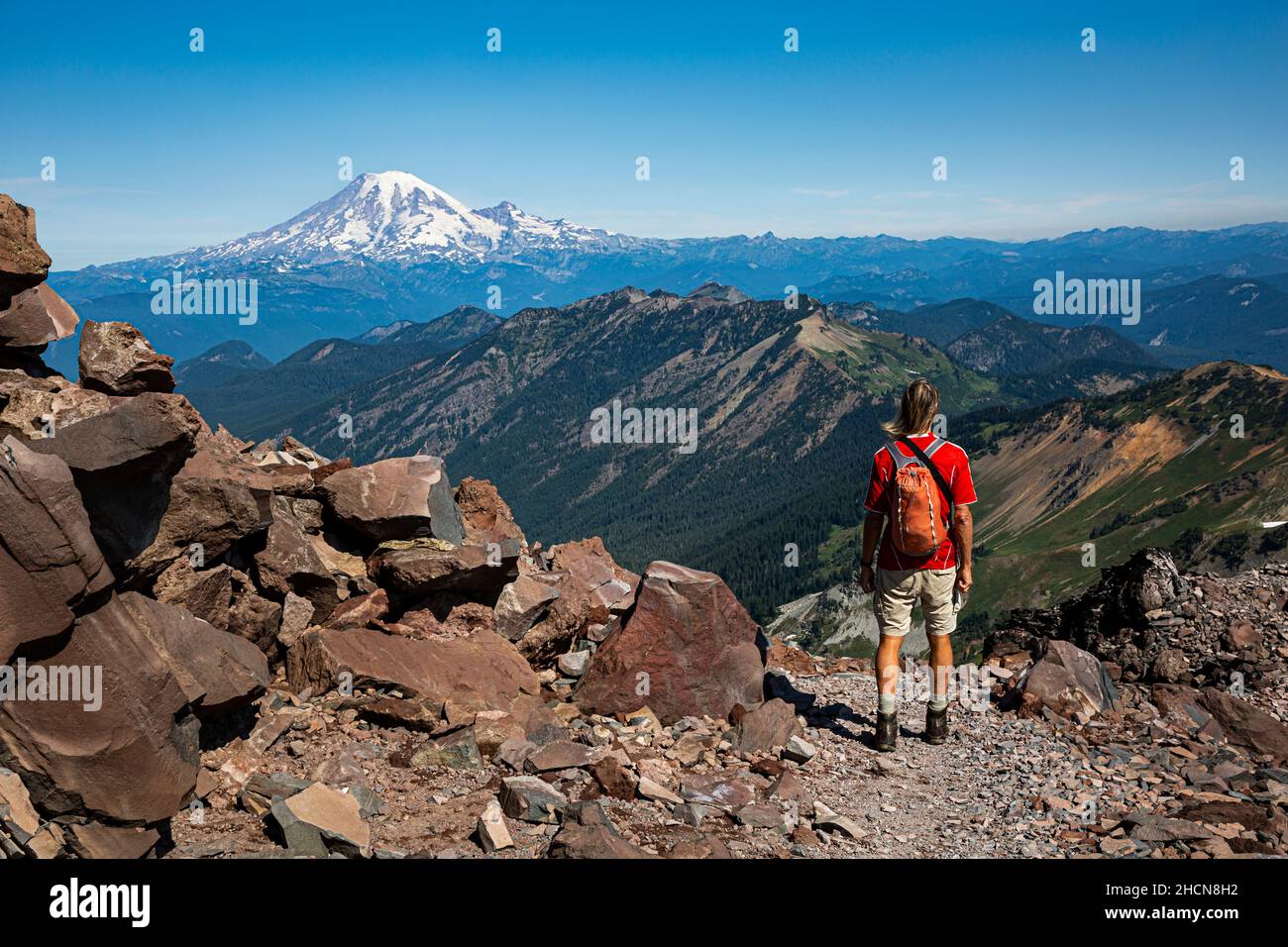 WA19949-00...WASHINGTON - Day hiker on the Alternate Pacific Crest Trail with view of Mount Rainier in the Goat Rock Wilderness. Stock Photo