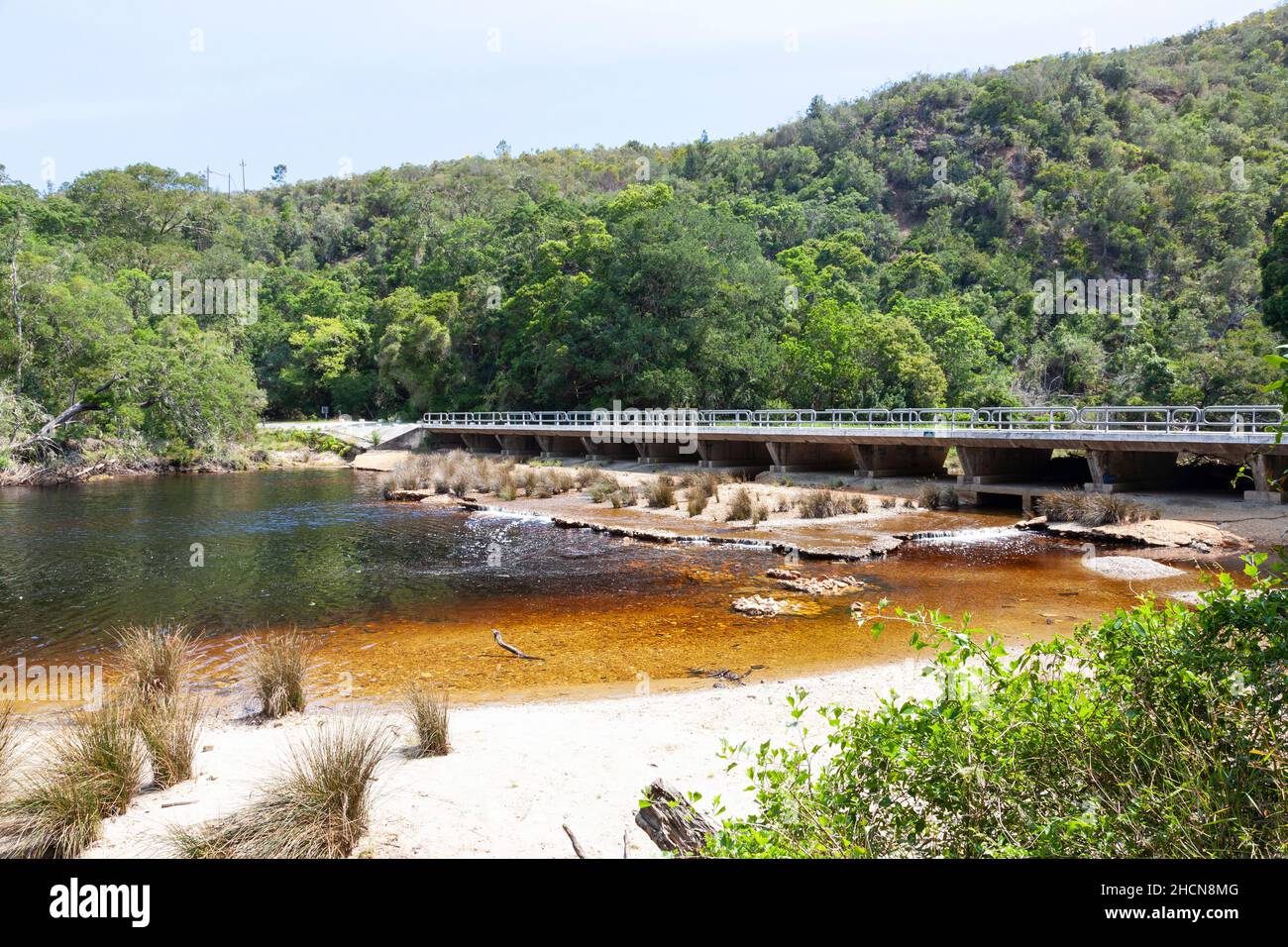 Bridge over the Groot River in the Tsitsikamma National Park with Afromontane Forest habitat near Nature's Valley, Western cape, South Africa Stock Photo