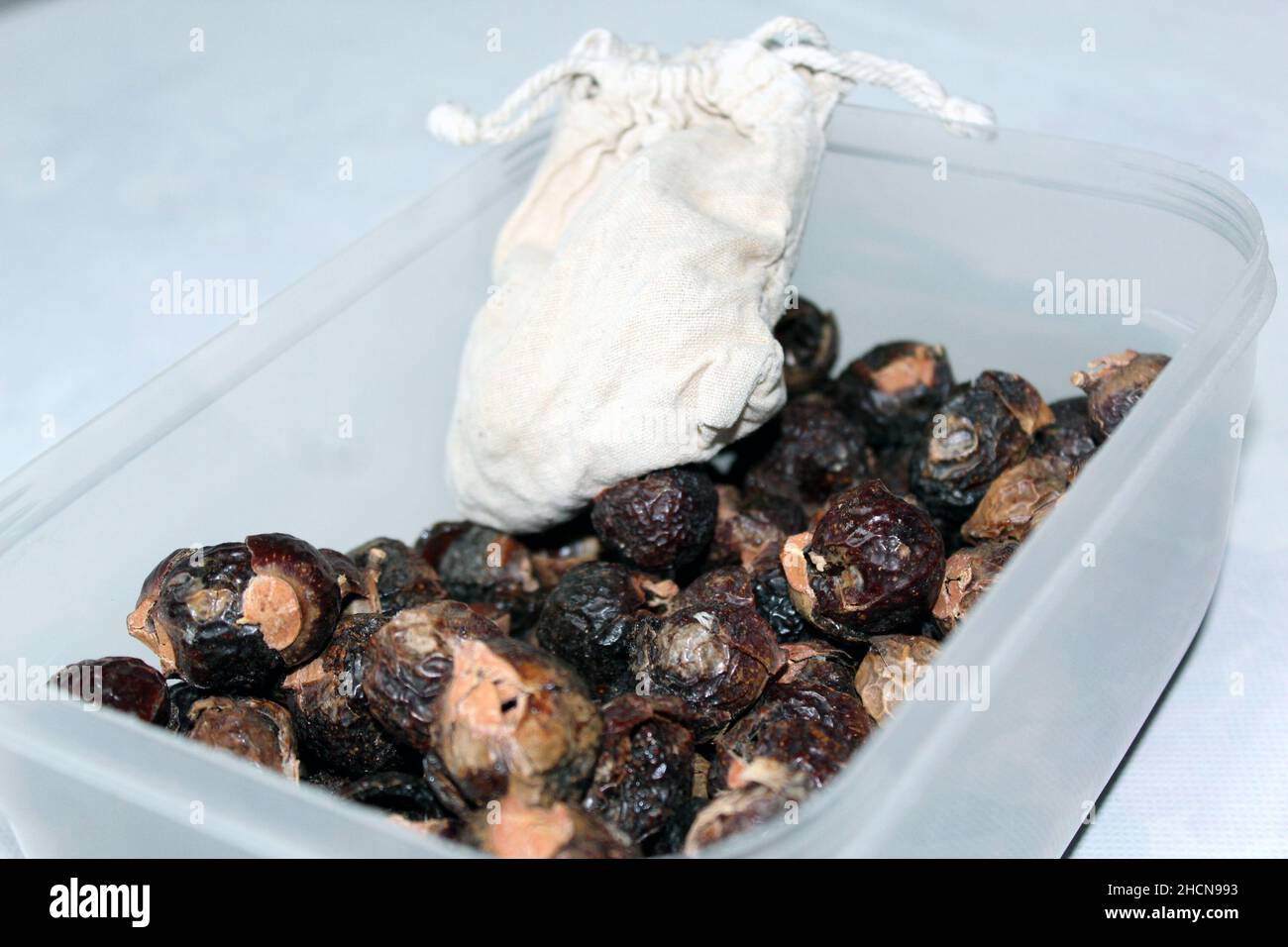 Sapindus mukorossi or Indian soapberry. Many soap nuts and cotton bag ready to be used ecologically in wash machine Stock Photo