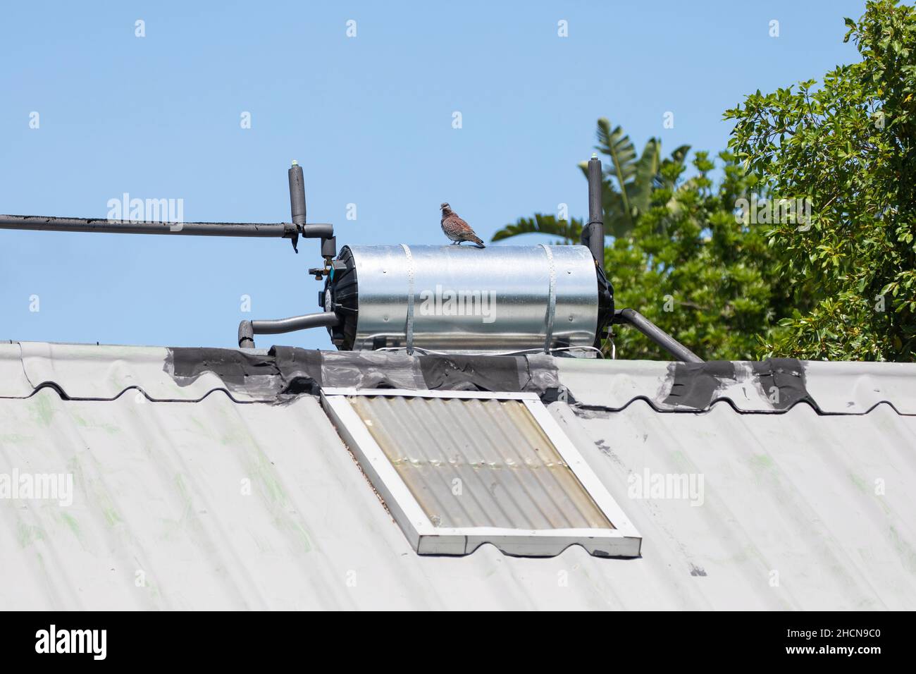 Rooftop solar hot water geyser on roof of house providing renewable heating and energy from photovoltaic cells. Green energy, global warming Stock Photo