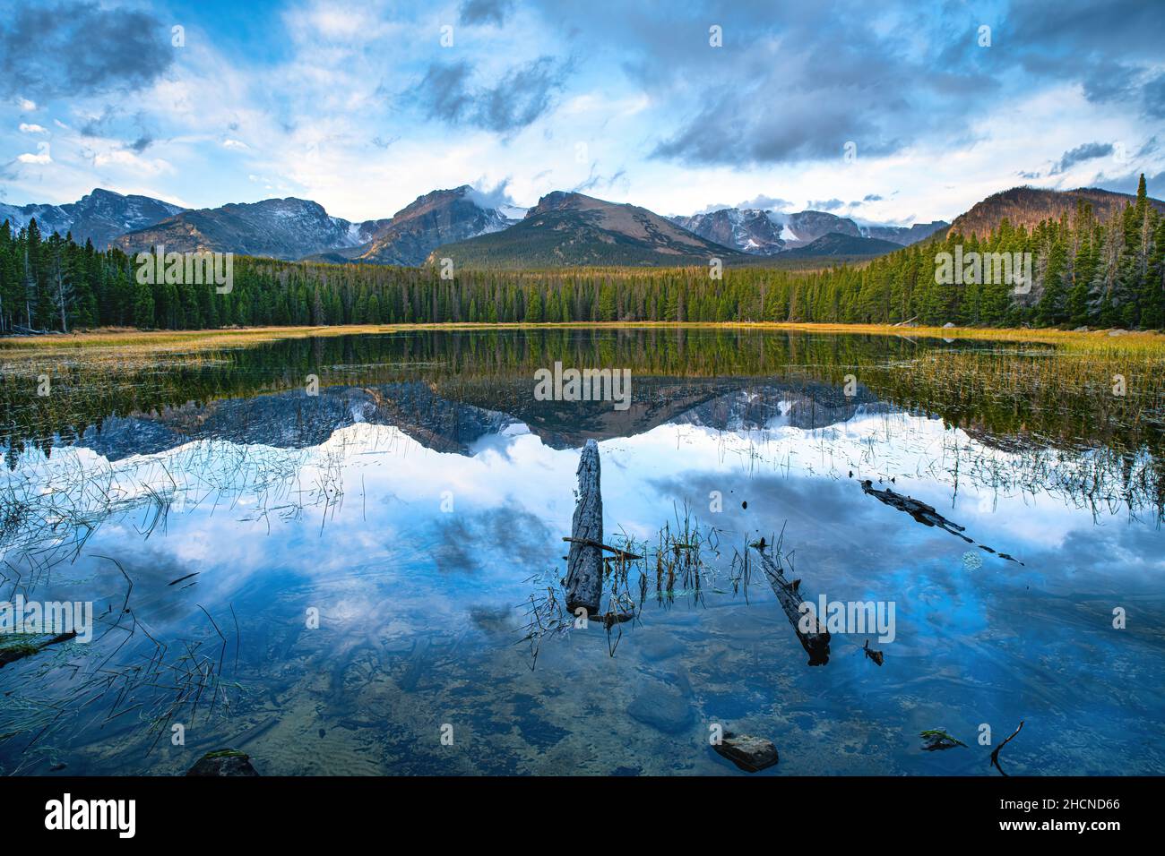 Mesmerizing view of a lake with reflection of dense trees against a ...
