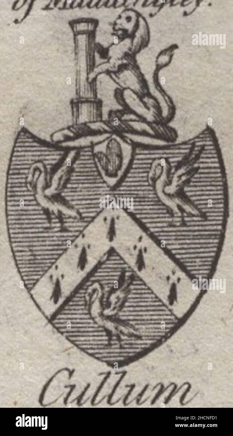 antique 18th century engraving heraldy coat of arms, English