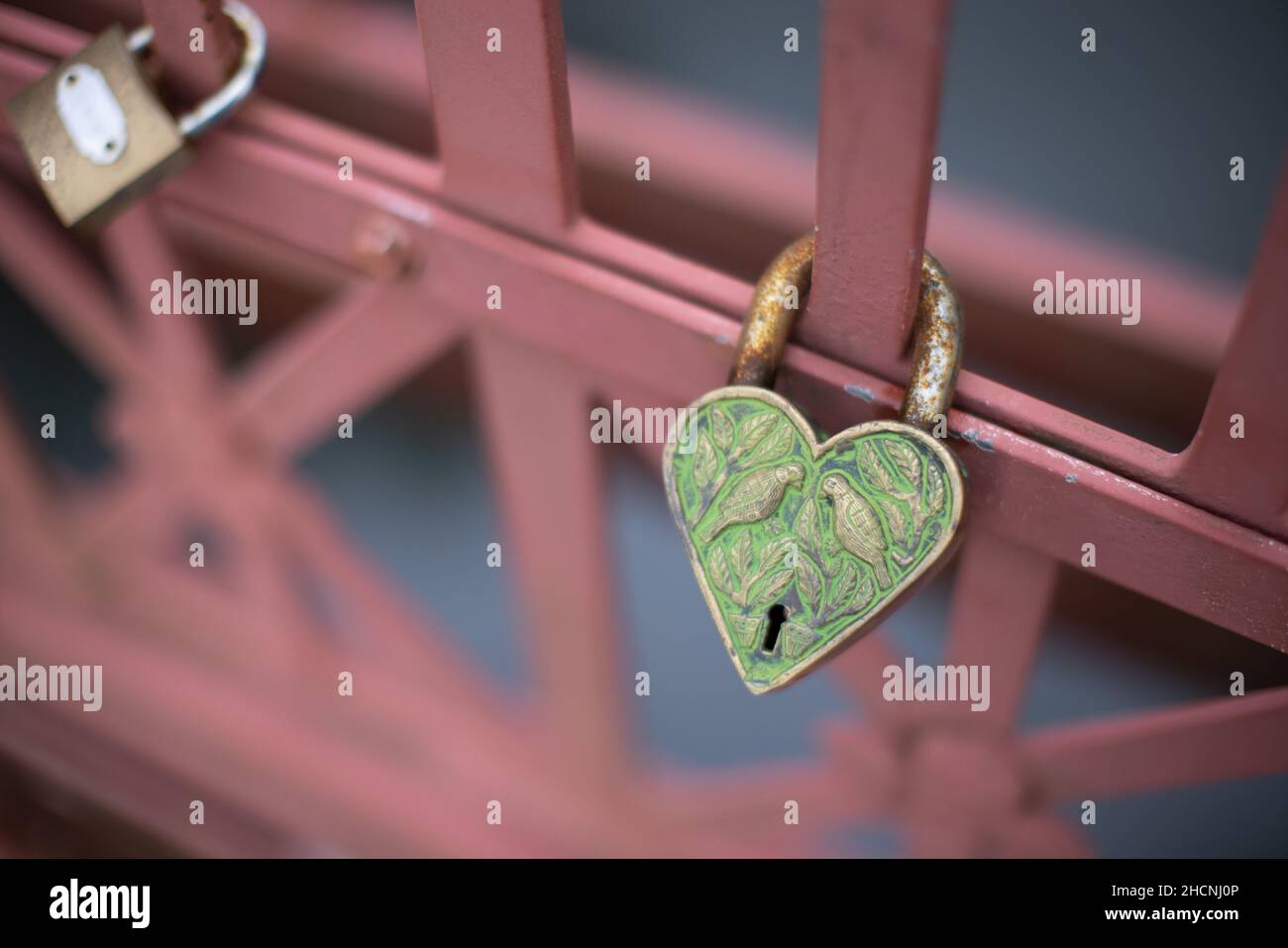 Closeup of the heart shaped padlock hanging from the fence Stock Photo ...