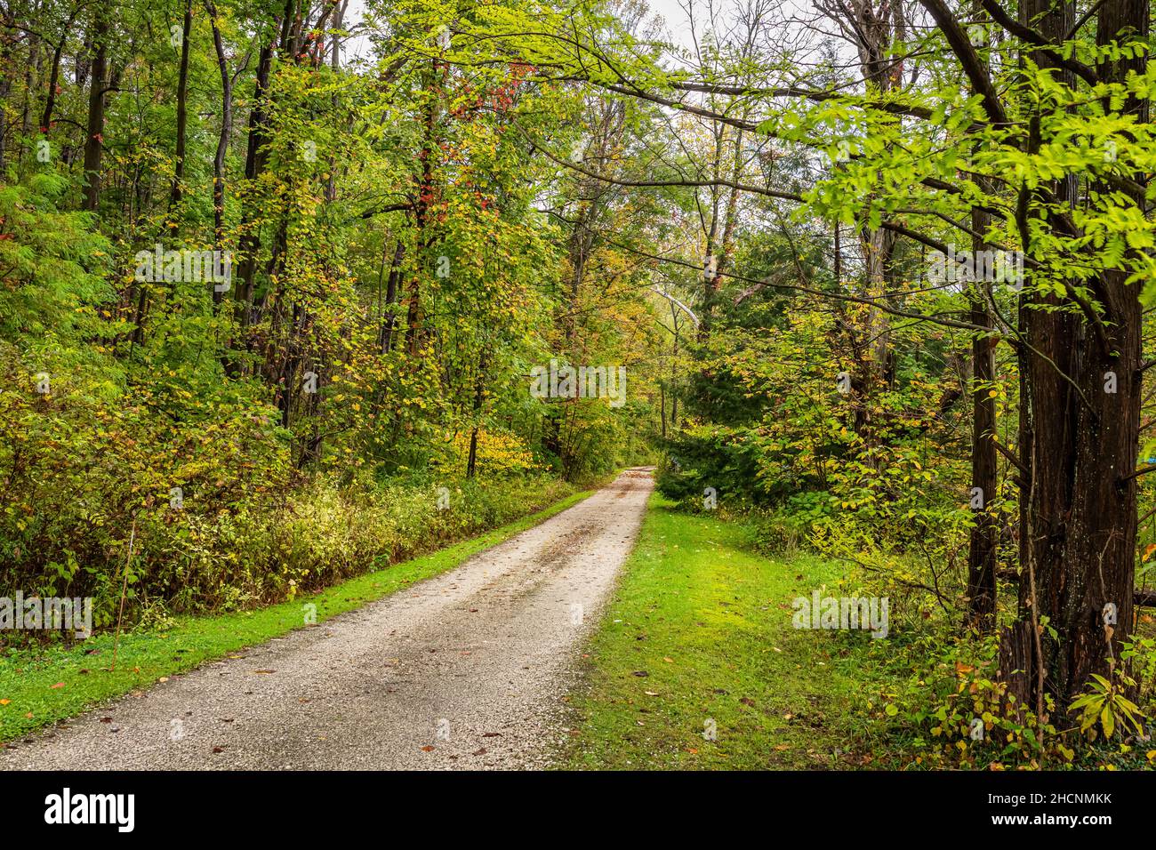 A rural gravel road in Ashtabula County, Ohio during the Autumn leaf