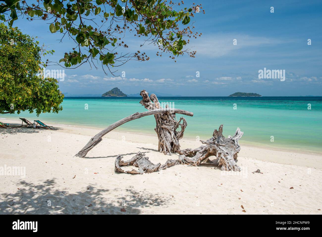 Laem Tong Beach at Phi Phi Islands. These tropical islands are a popular tour destination from Phuket and Krabi in Thailand. Stock Photo