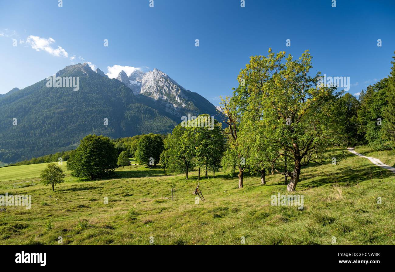 Summer landscape in Ramsau with a view of the impressive Hochkalter mountain range, Bavaria, Germany Stock Photo