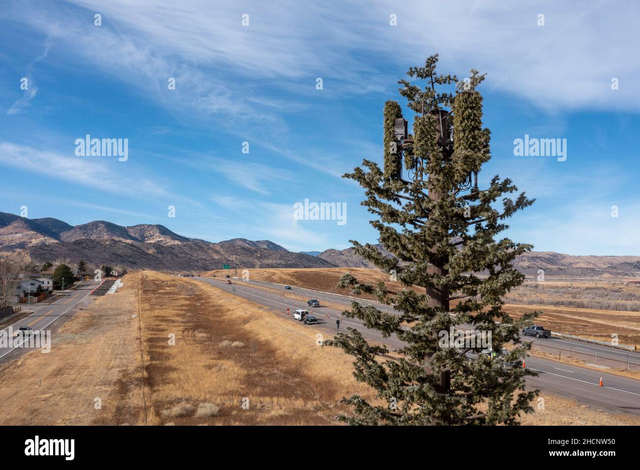 Morrison, Colorado - A communications tower, disguised as a tree, in suburban Denver. Stock Photo