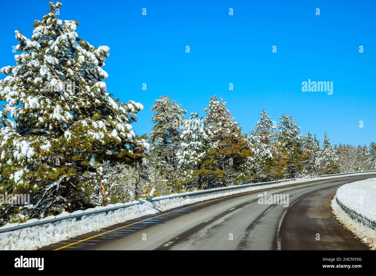 Winter road trees with the mountain snow landscape in Arizona Stock ...