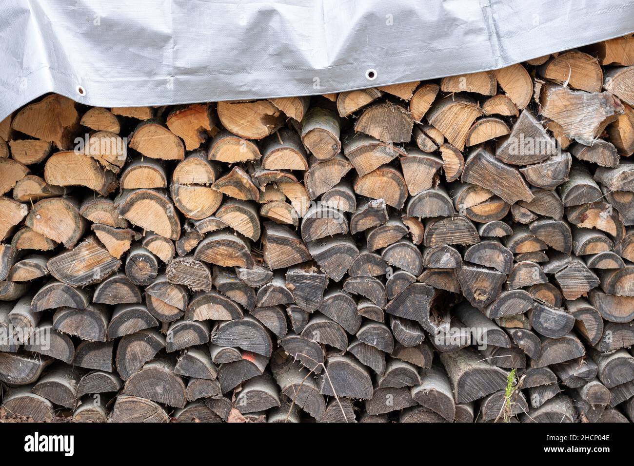 Stacked woodpile for firewood under grey tarp. Stock Photo