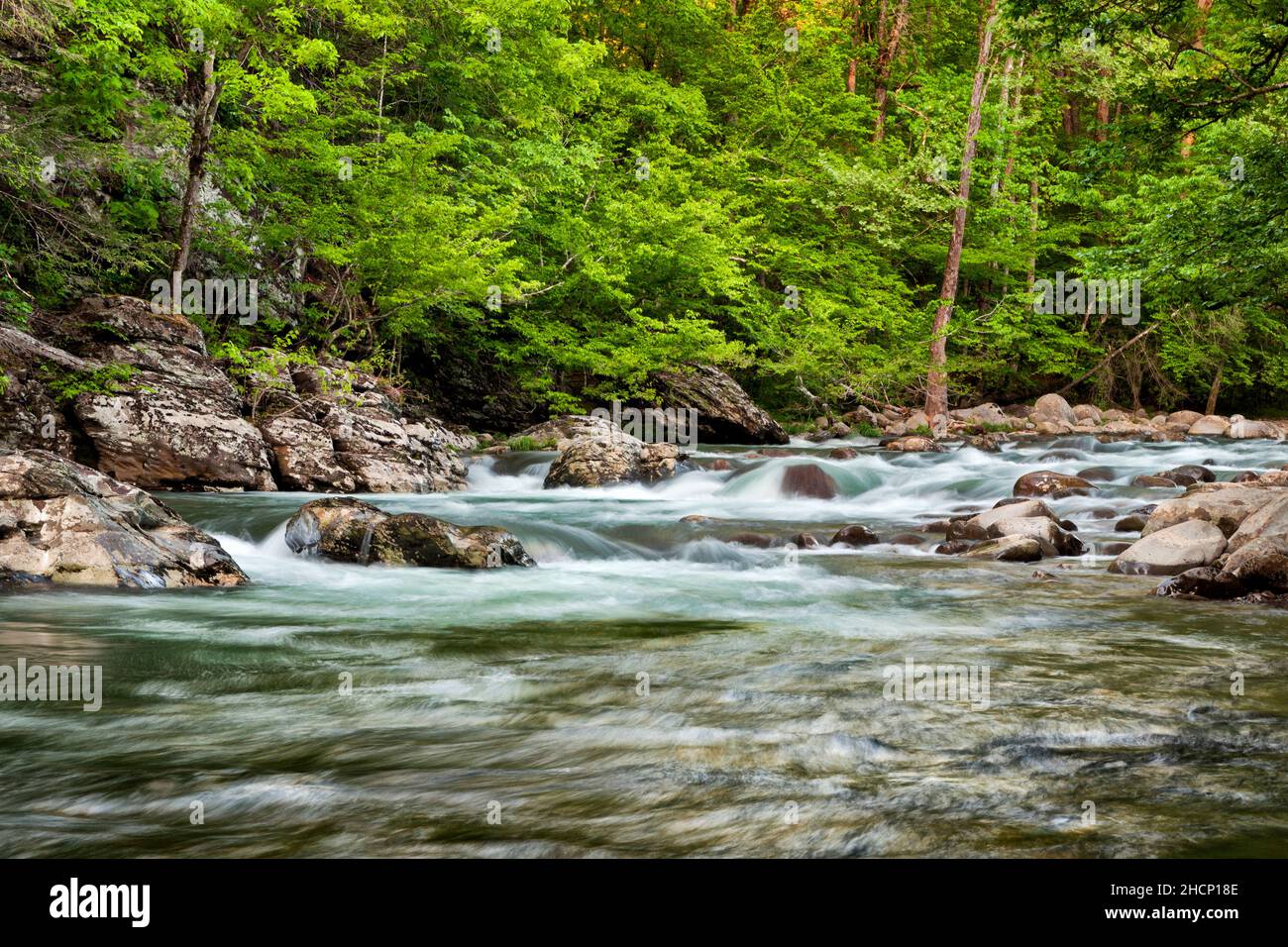 USA, Tennessee, Great Smoky Mountains National Park, Little Pigeon River at Greenbrier, #1 Stock Photo