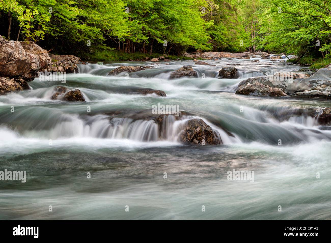 USA, Tennessee, Great Smoky Mountains National Park, Little Pigeon River at Greenbrier, #2 Stock Photo