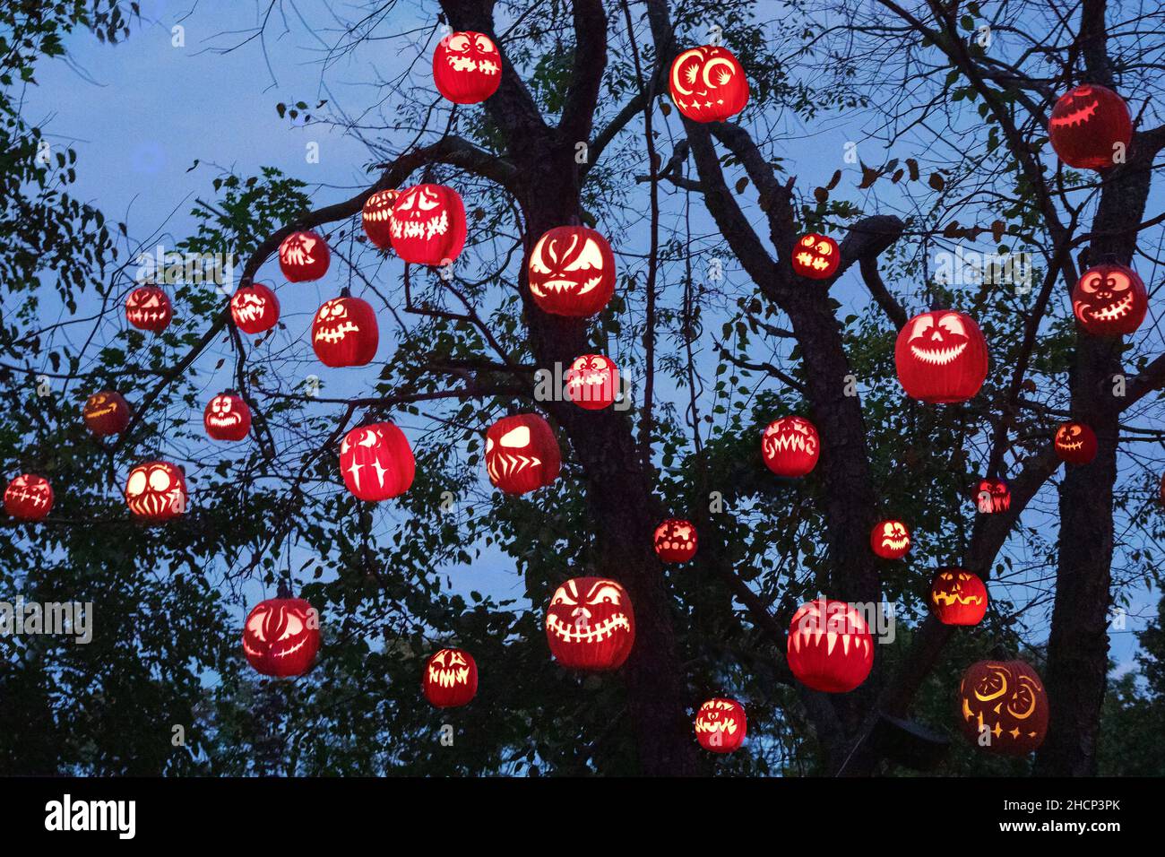Hanging pumpkins at the Jack-O-Lantern Spectacular in Providence, Rhode Island Stock Photo