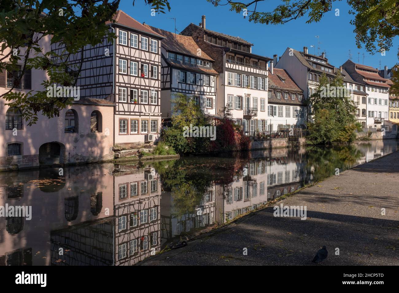 Half-timbered houses of the Petite France district in Strasbourg France reflecting on the Ill River, taken on a sunny autumn afternoon with no people Stock Photo